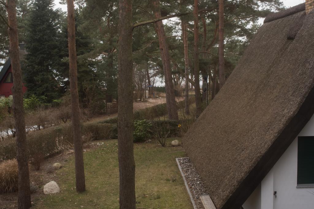Reetdach-Ferienhaus In Quilitz Rankwitz Εξωτερικό φωτογραφία